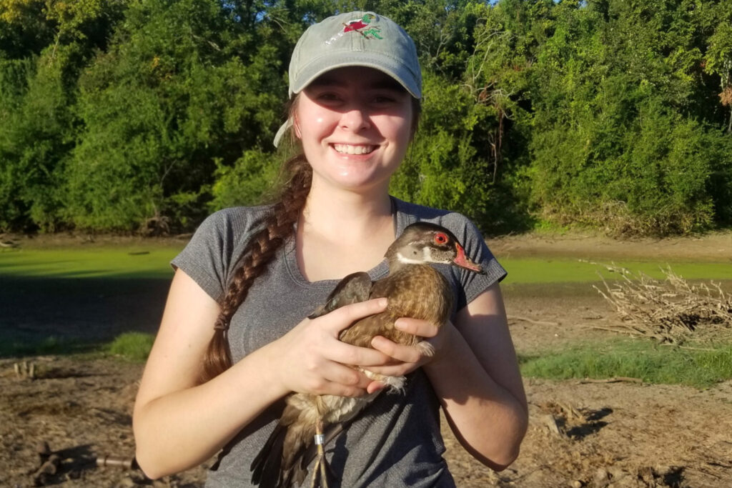 Rory – Maui Forest Bird Recovery Project